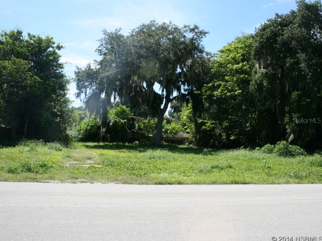 Florida Shores 01 - Land