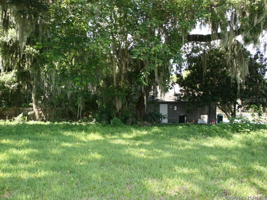 Florida Shores 01 - Land