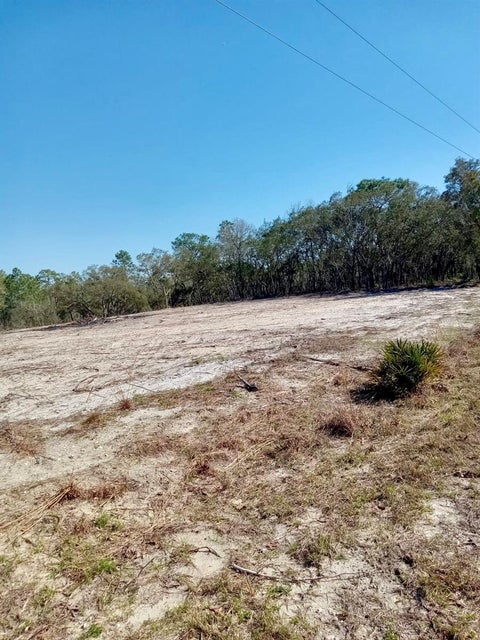 Tiny photo for 0 SE 125th Court, Dunnellon, FL 34431 (MLS # O6437907)