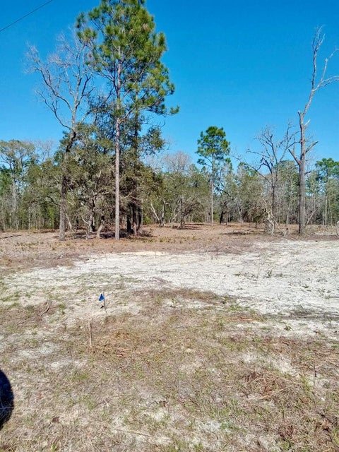 Photo of 0 SE 125th Court, Dunnellon, FL 34431 (MLS # O6437907)