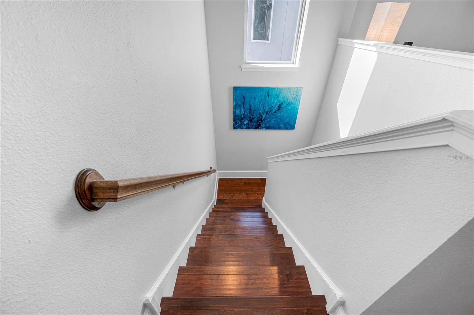 CHAMPIONS FOREST - Residential