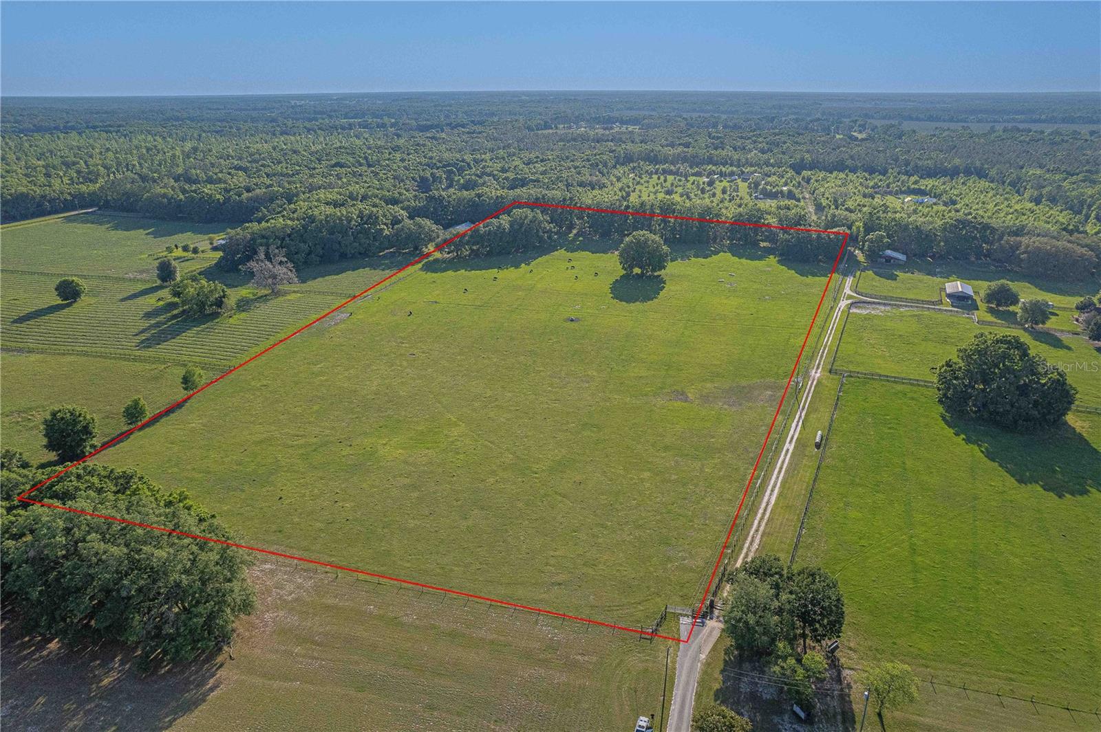 Listing image 8