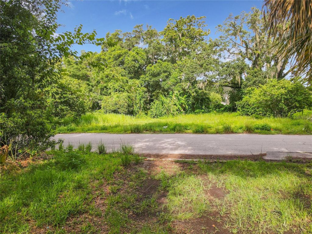 Photo of 811 Leonard Street, Brooksville, FL 34601 (MLS # S5137734)