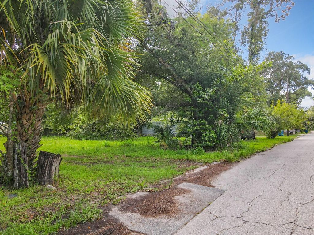 Photo of 811 Leonard Street, Brooksville, FL 34601 (MLS # S5137734)