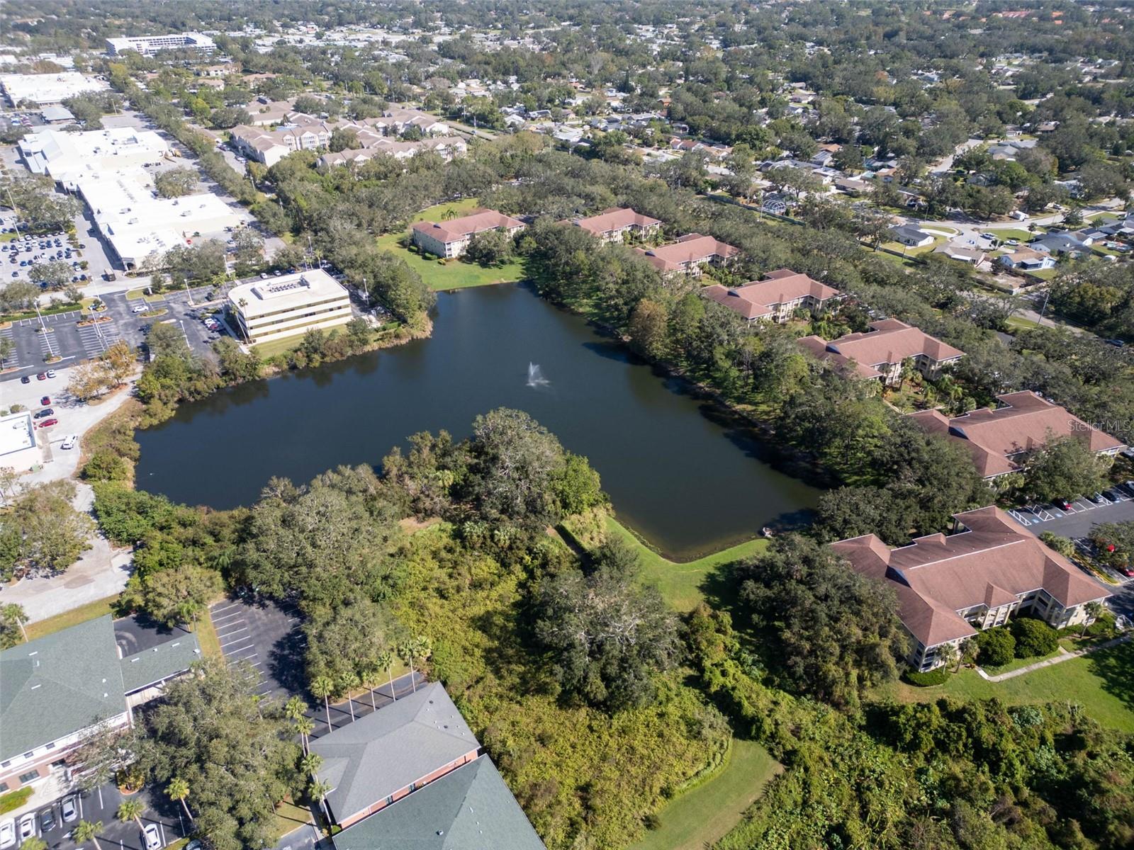 MEADOWLAKE PALM HARBOR CONDO - Residential
