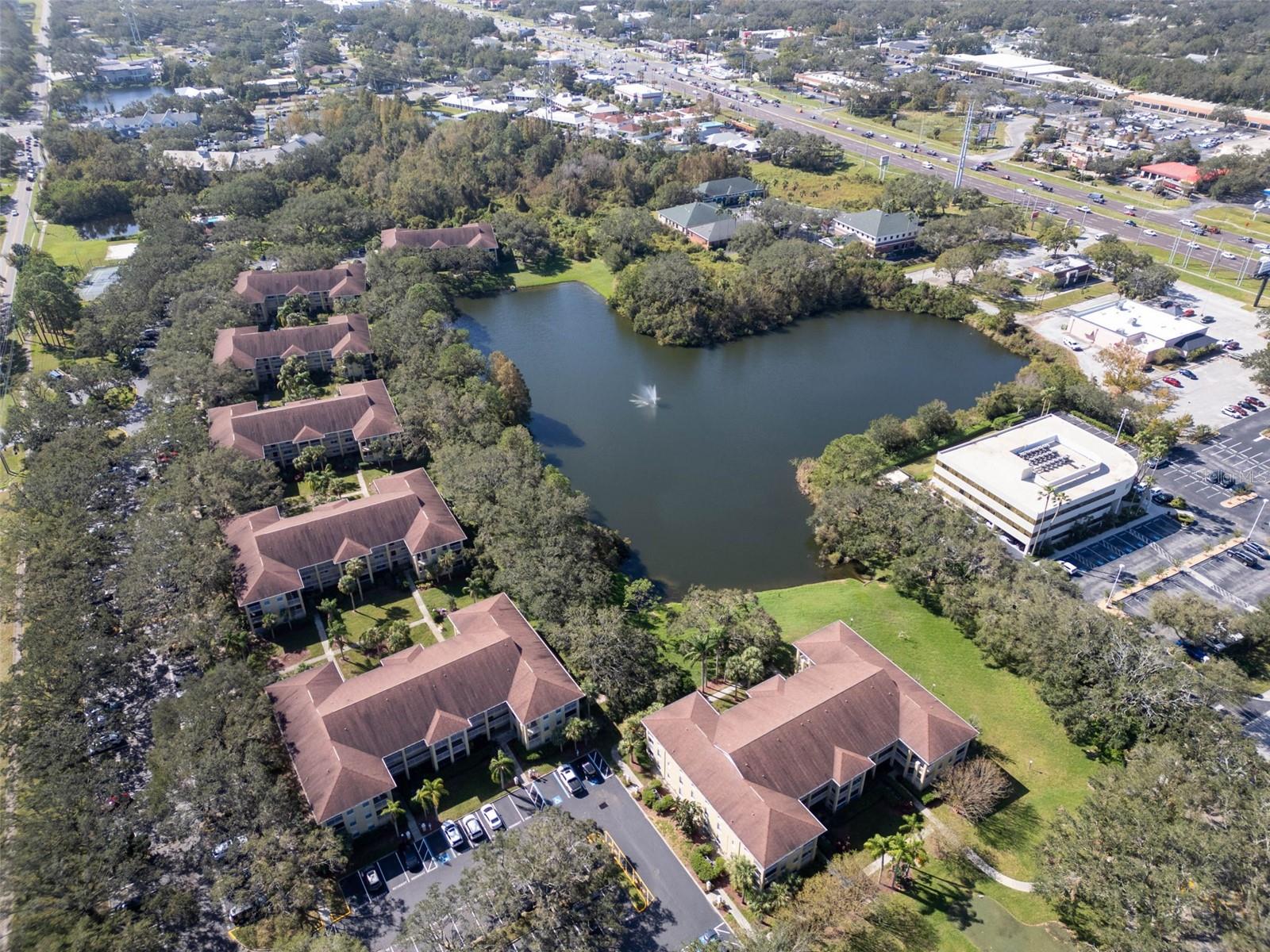 MEADOWLAKE PALM HARBOR CONDO - Residential