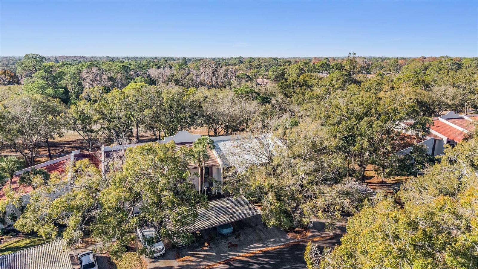 TARPON WOODS CONDO - Residential