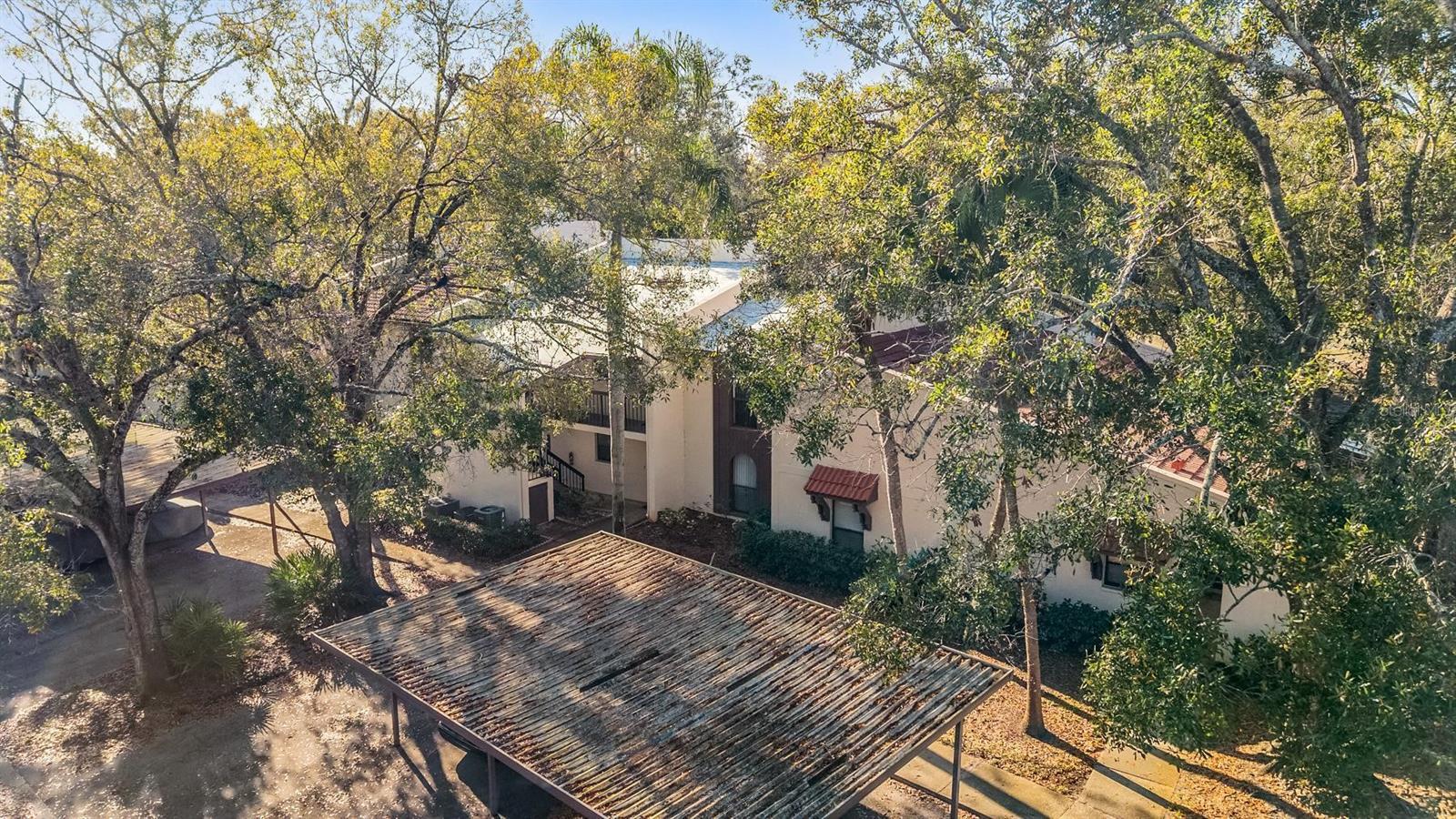 TARPON WOODS CONDO - Residential