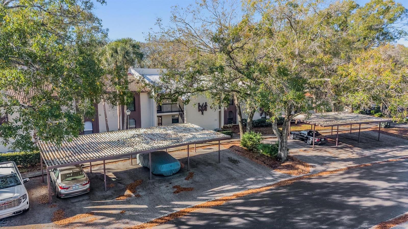 TARPON WOODS CONDO - Residential