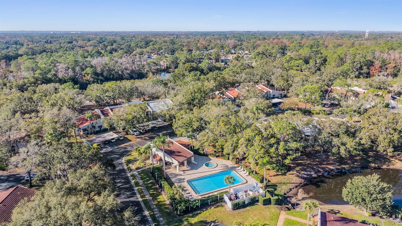 TARPON WOODS CONDO - Residential