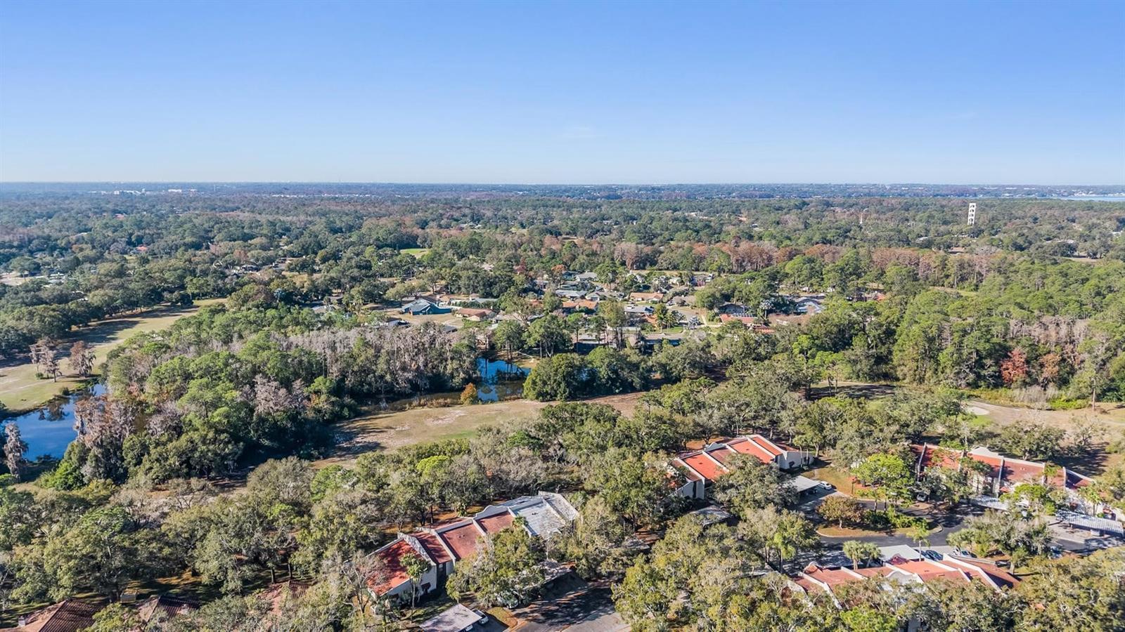 TARPON WOODS CONDO - Residential