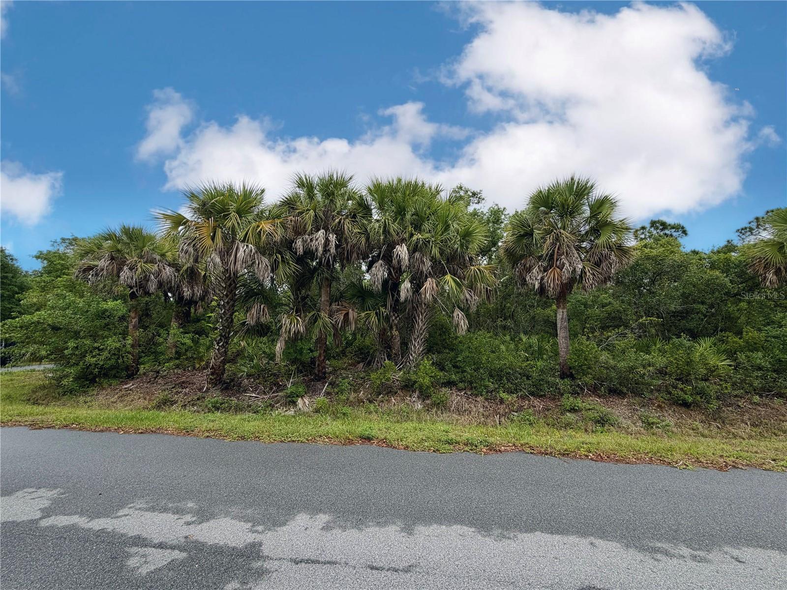 PORT CHARLOTTE SEC 008 - Land