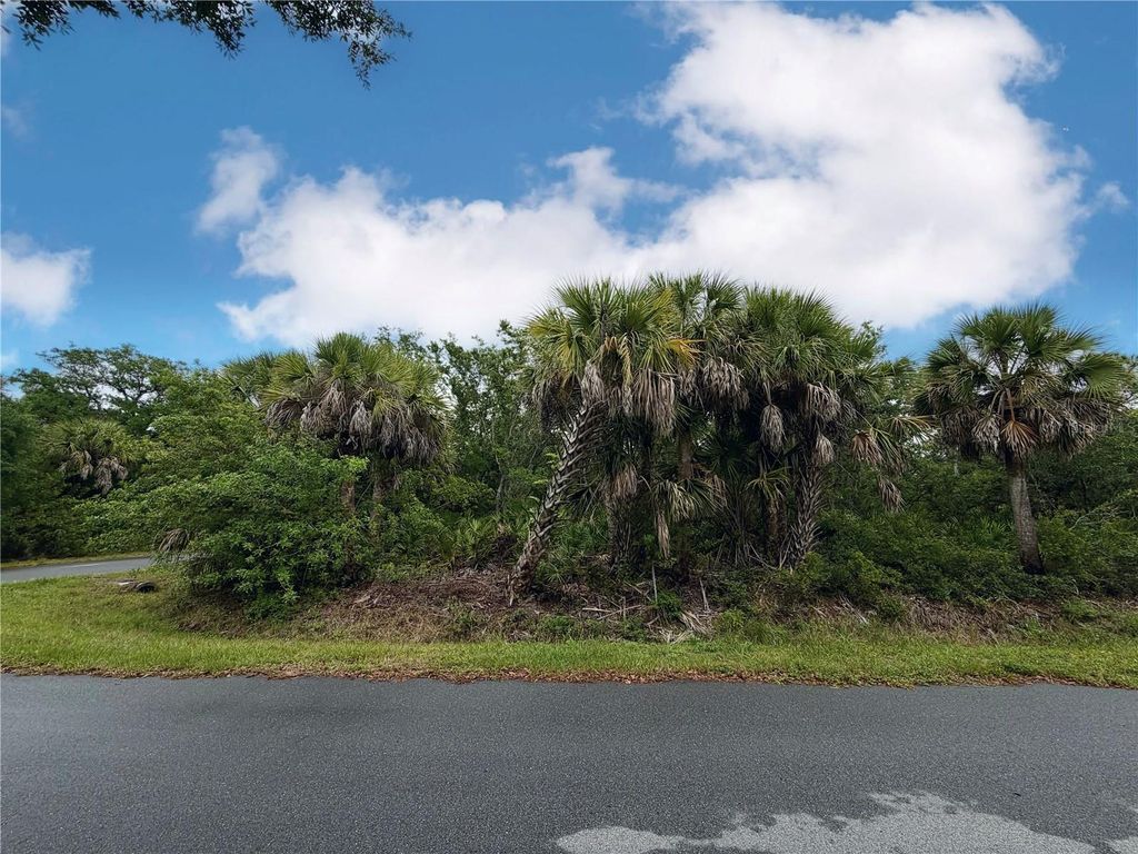 Photo of 18039 Savage Avenue, Port Charlotte, FL 33948 (MLS # A4692419)