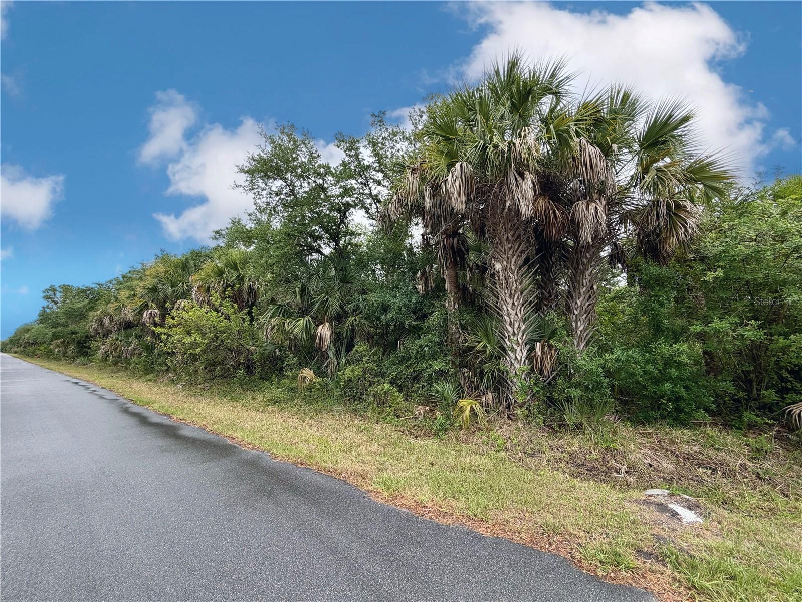 PORT CHARLOTTE SEC 008 - Land
