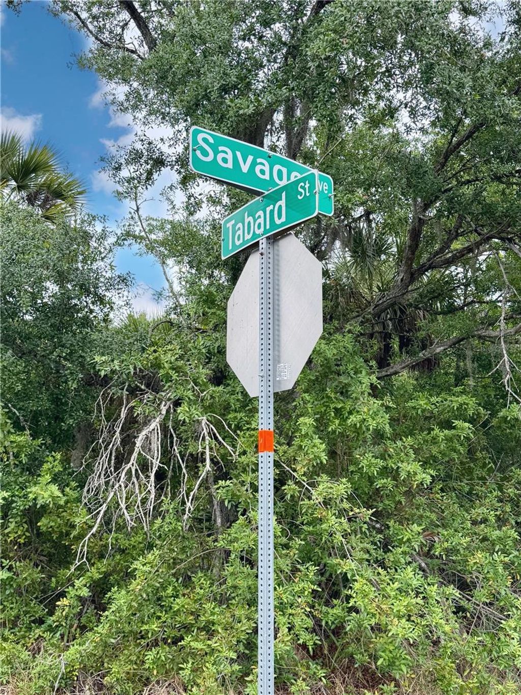 Photo of 18039 Savage Avenue, Port Charlotte, FL 33948 (MLS # A4692419)