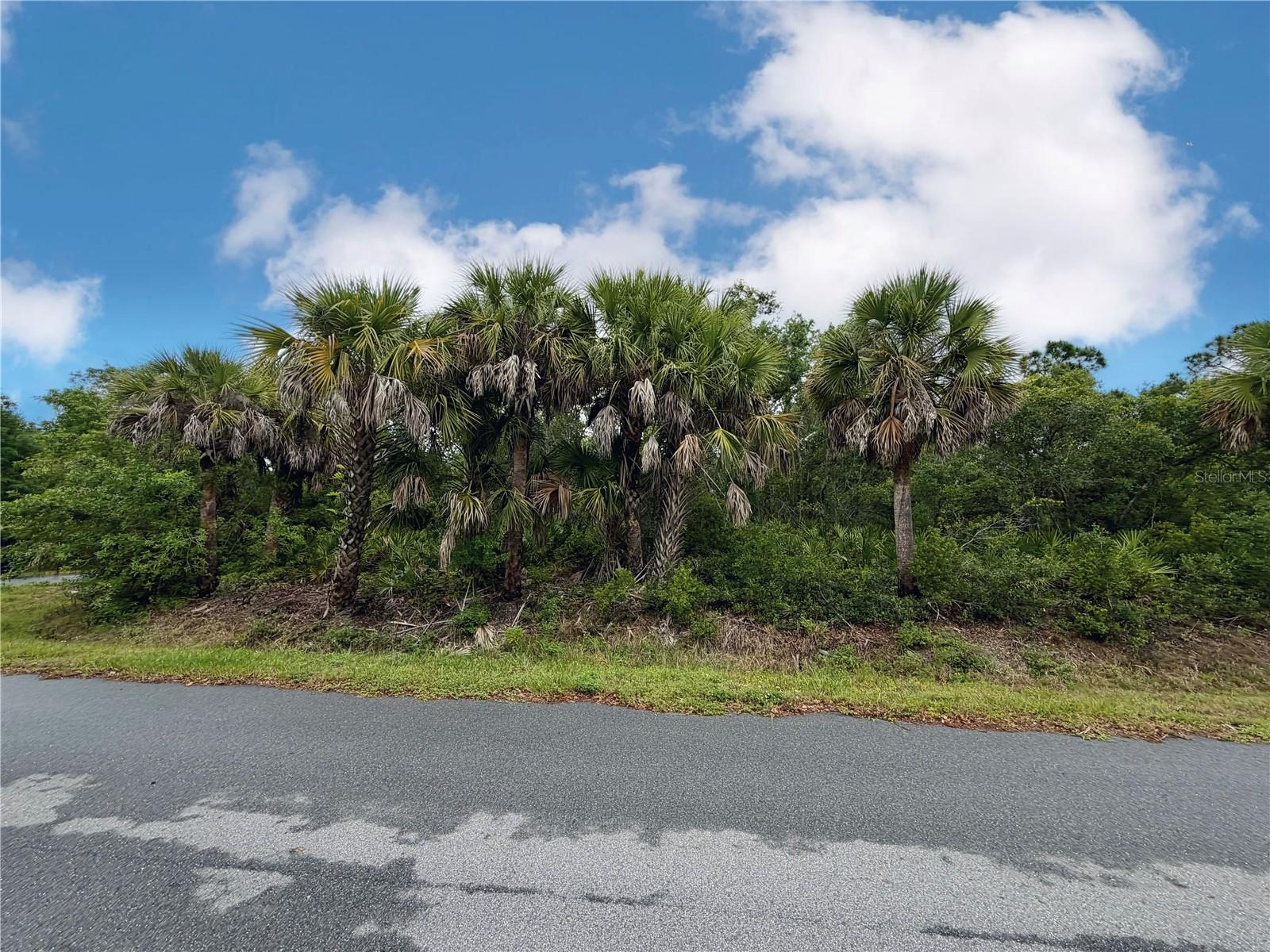PORT CHARLOTTE SEC 008 - Land