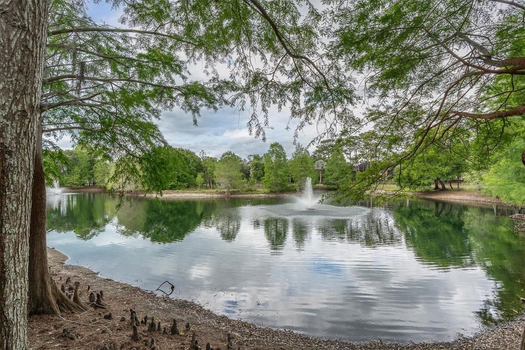 Photo of 2217 Tuscany Trace #188, Palm Harbor, FL 34683 (MLS # TB8500274)