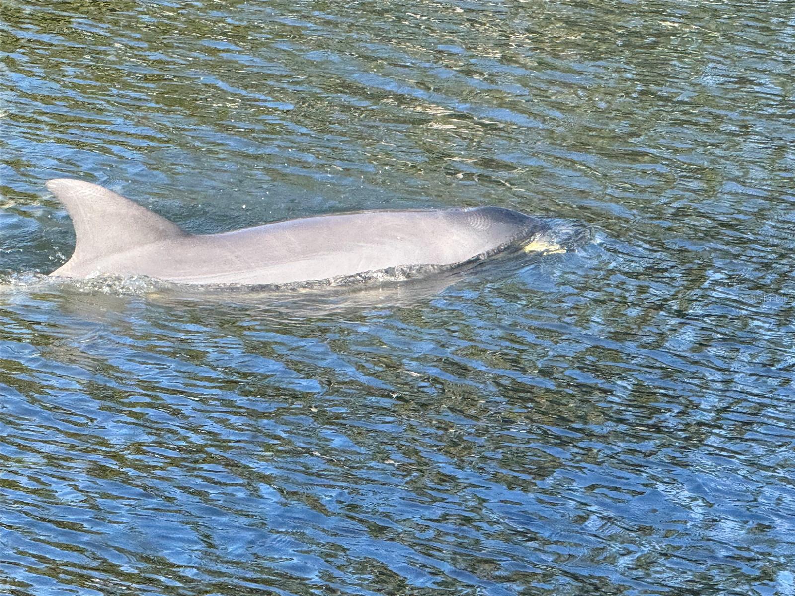 PALM COAST SEC 16 - Residential