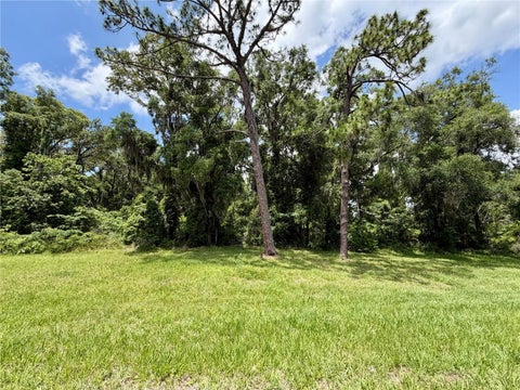 Tiny photo for Tbd S Pine Avenue, Ocala, FL 34480 (MLS # GC540674)