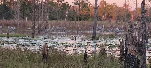 DELTONA LAKES UNIT 43 - Residential