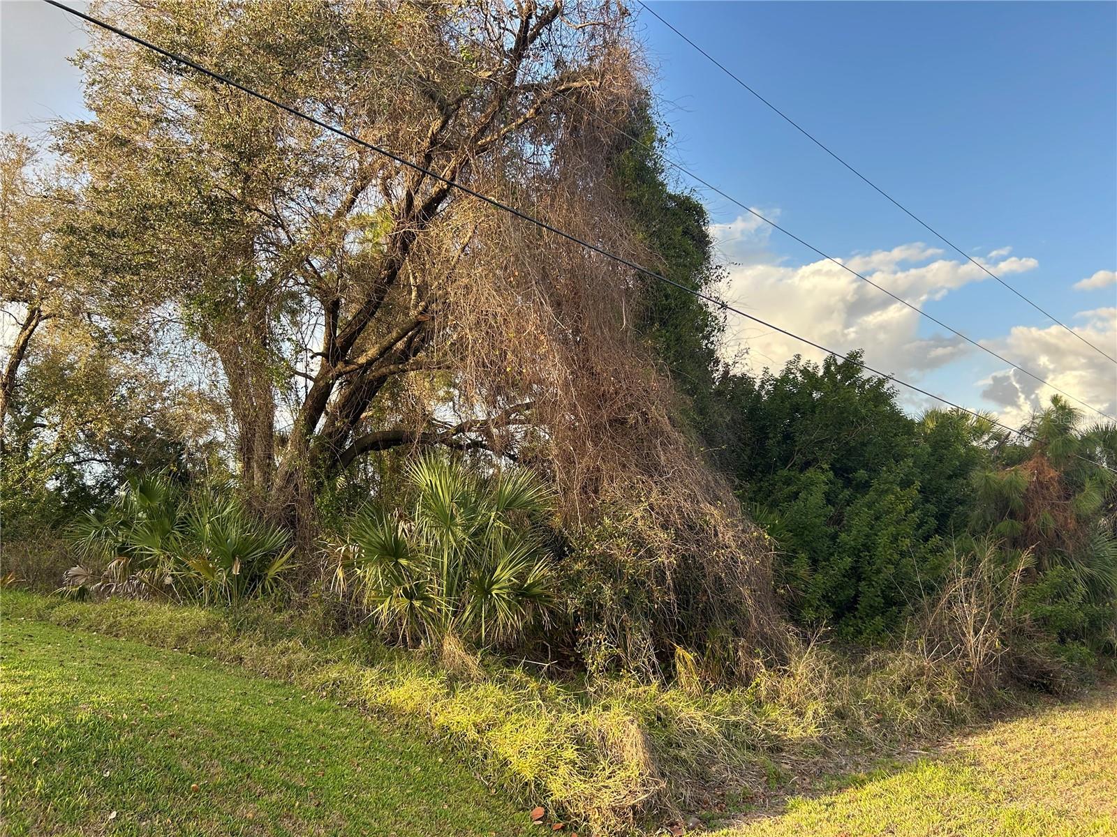 PORT CHARLOTTE SUB 51 - Land