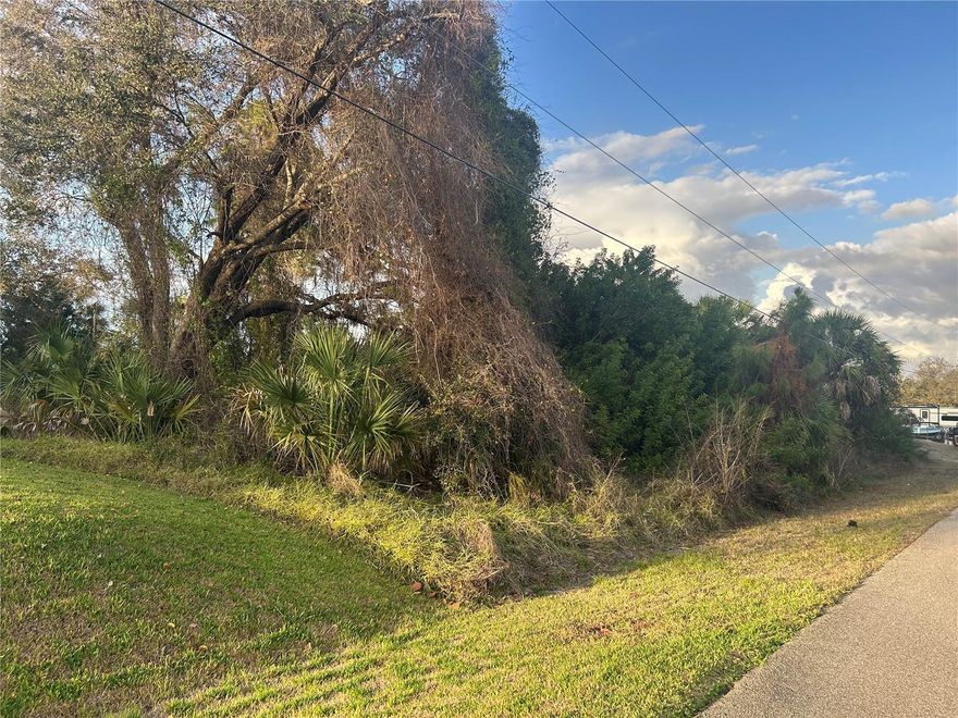 This perfect 81X125 building lot is located in desirable area of North Port. No HOAs. NOT in a Flood Zone! Beyond the rear-lot line is a greenbelt so instead of having neighbors over the backyard, you will enjoy the natural view. A quiet street enhances the silence and privacy. Close proximity to grocery shopping, I-75, US Highway 41. Great time to build your home or invest for the future!