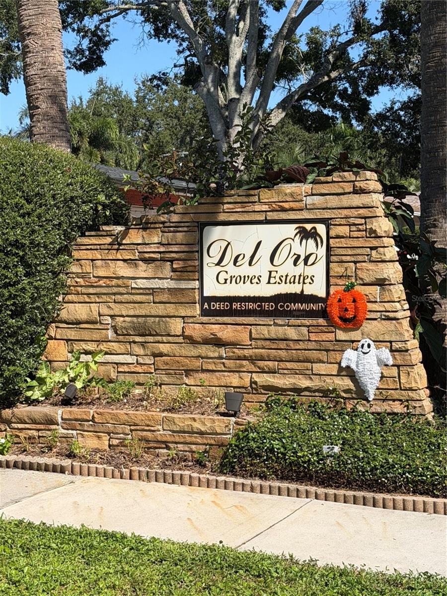 DEL ORO GROVES 1ST ADD - Residential