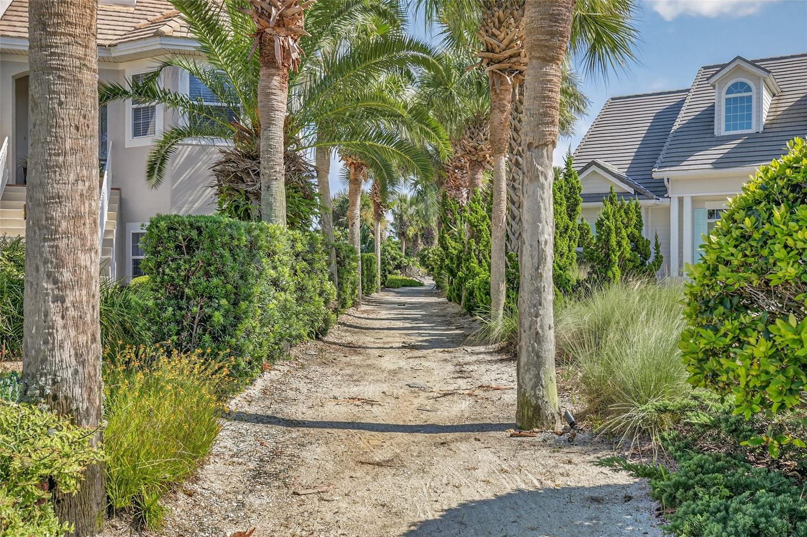 OCEAN HAMMOCK - Residential