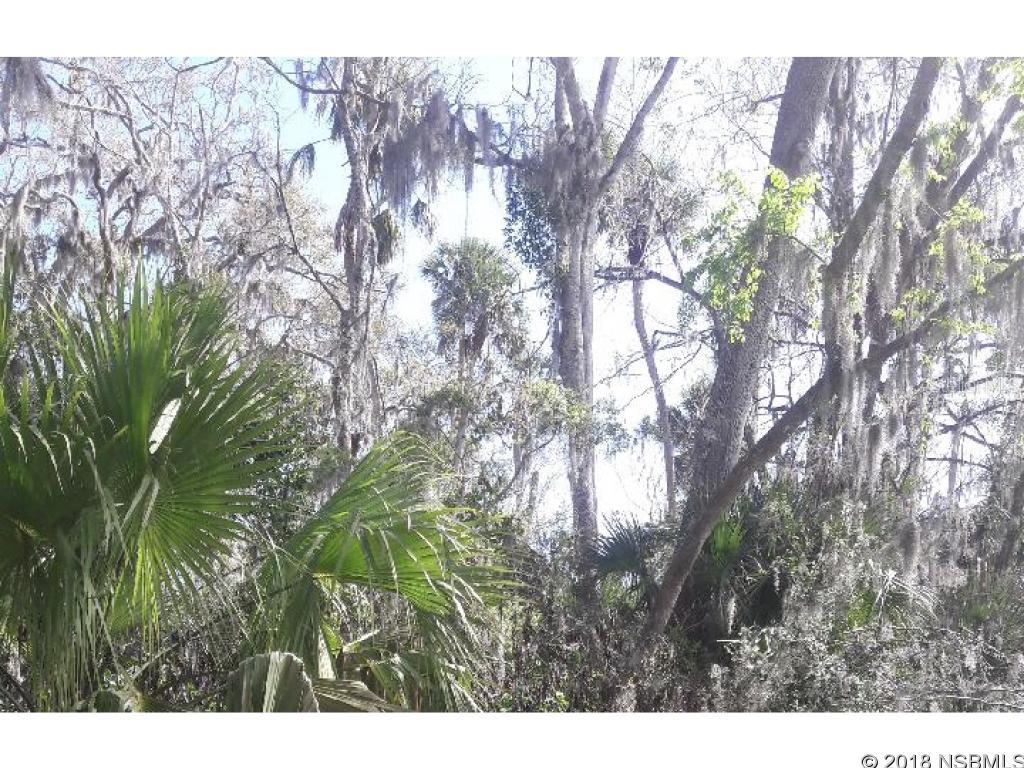 Florida Shores 01 - Land