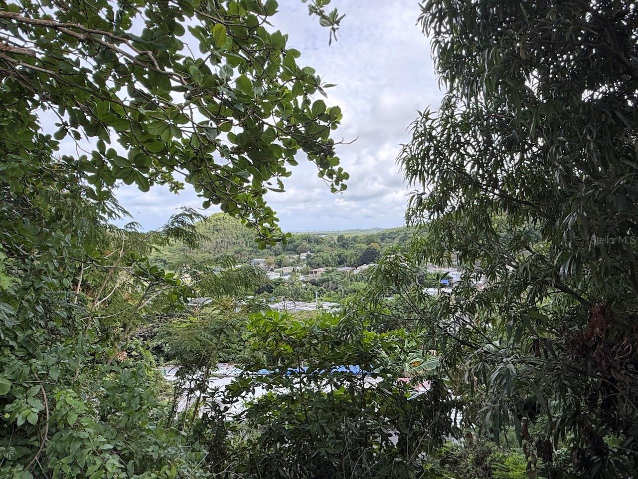 52 A COMM. BAJANDAS, PR-925 INT.