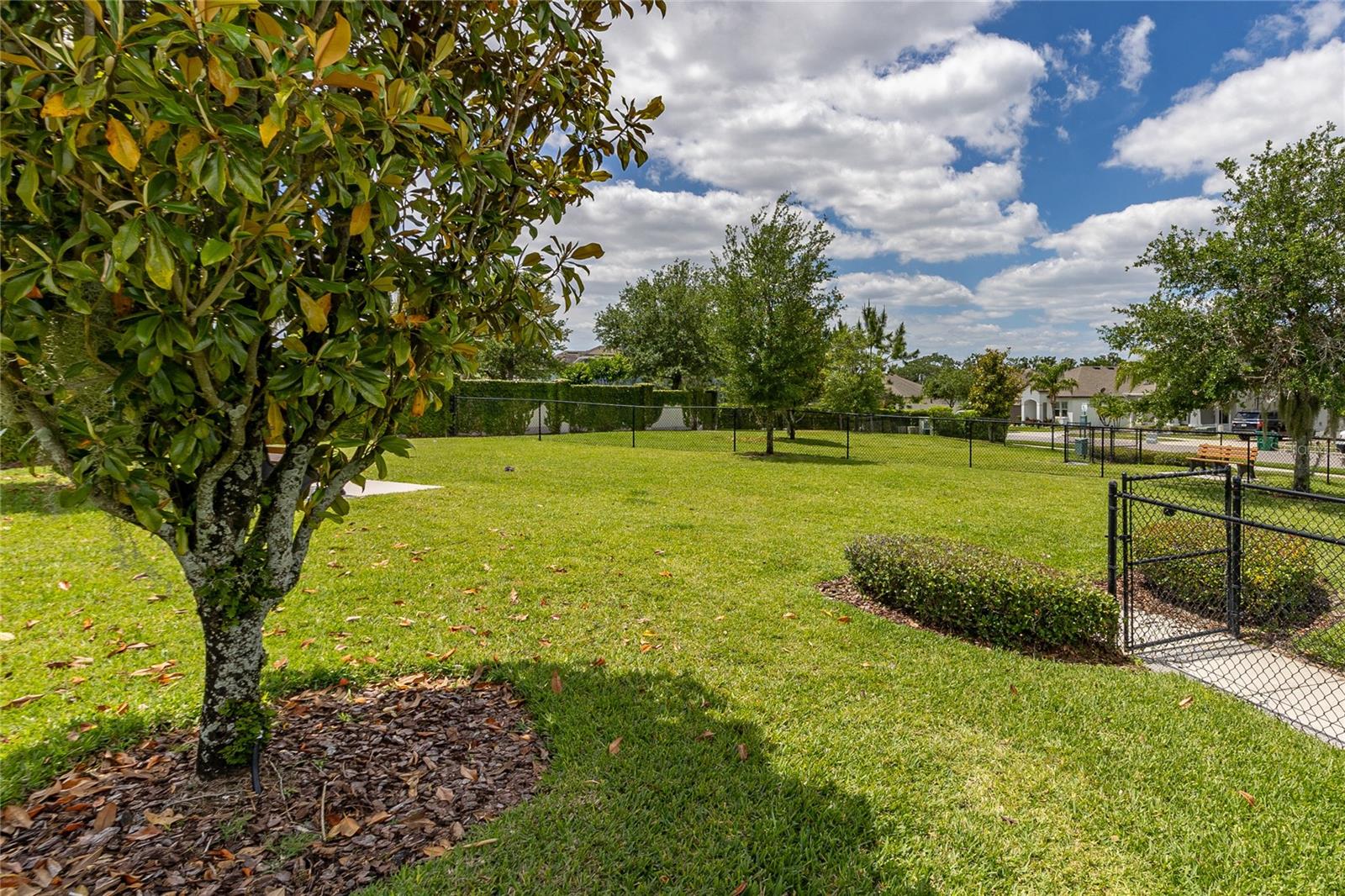 HICKORY HAMMOCK PH 2A - Residential