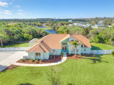 A home in FLAGLER BEACH