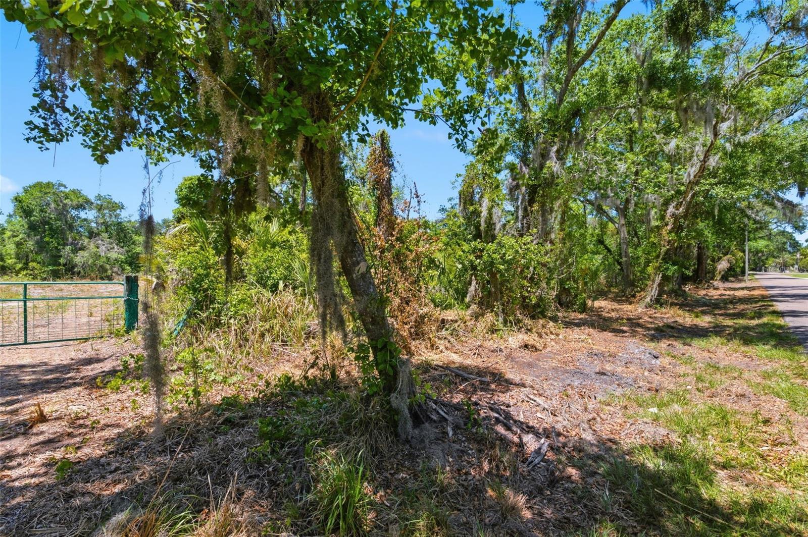 19084 RED BIRD LANE LOT 1