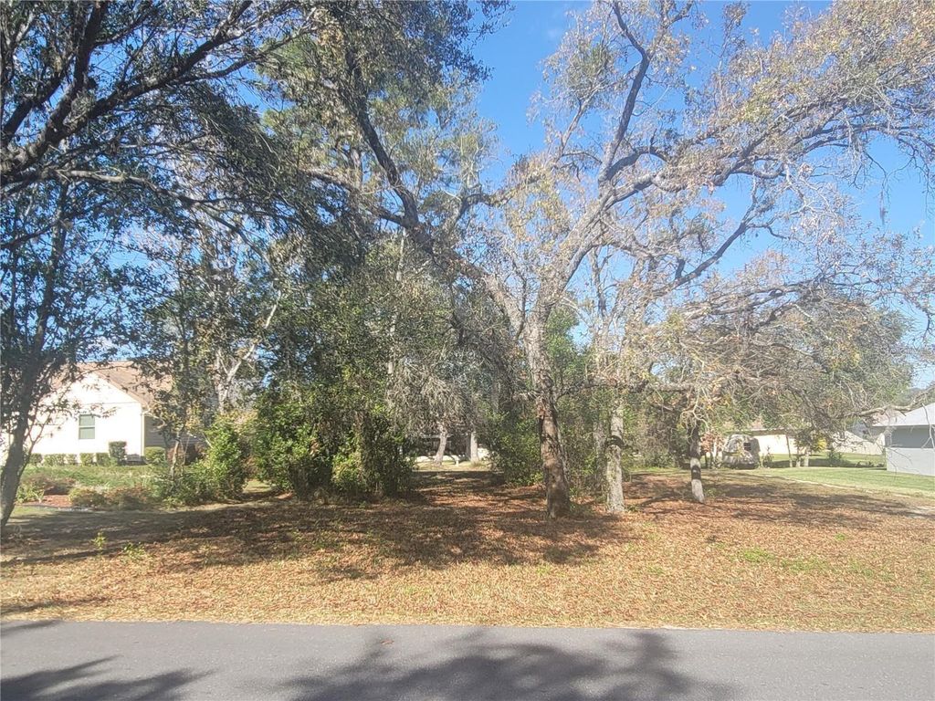 Photo of 2488 N Brentwood Circle, Lecanto, FL 34461 (MLS # O6297315)
