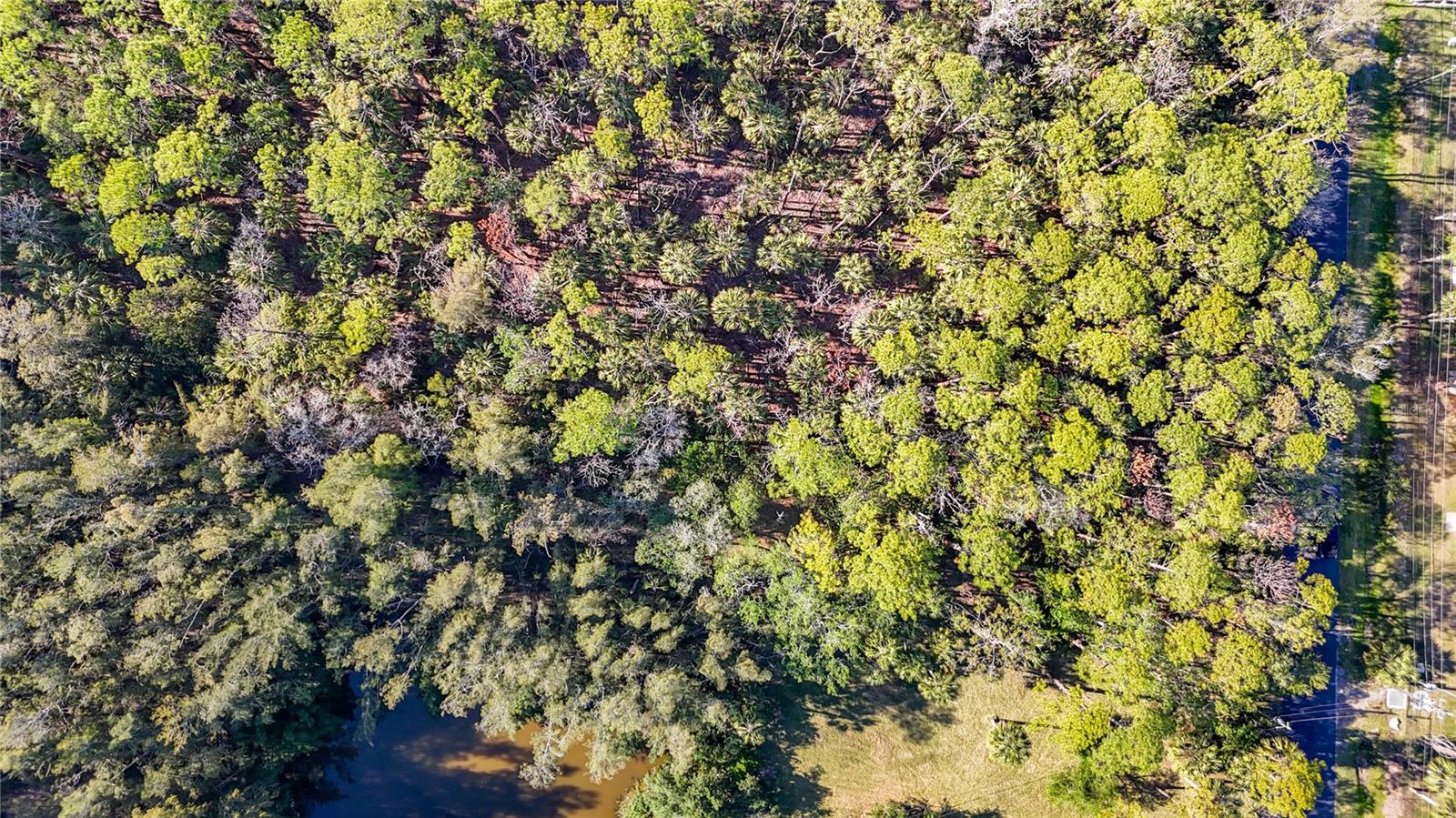 PORT RICHEY LAND CO SUB - Land