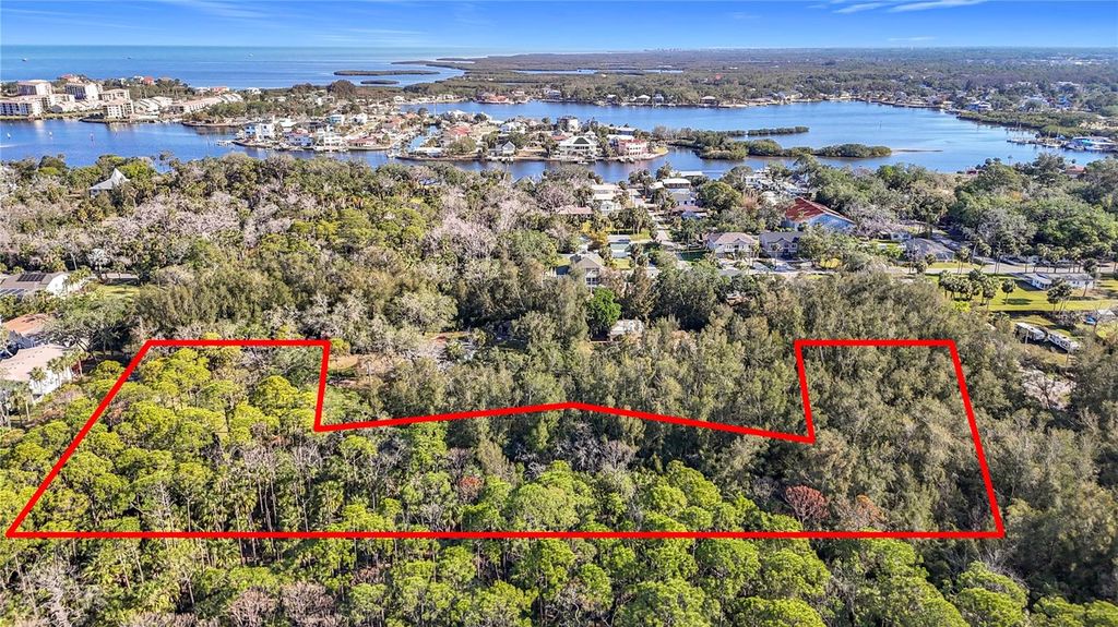Photo of 0 Oelsner Street, Port Richey, FL 34668 (MLS # W7874576)