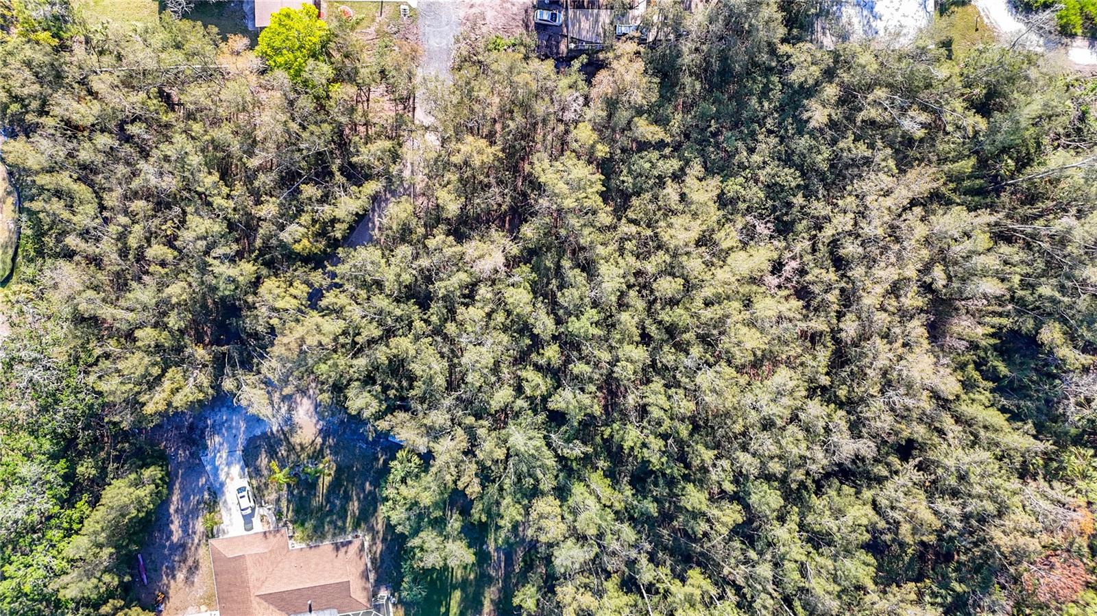 PORT RICHEY LAND CO SUB - Land