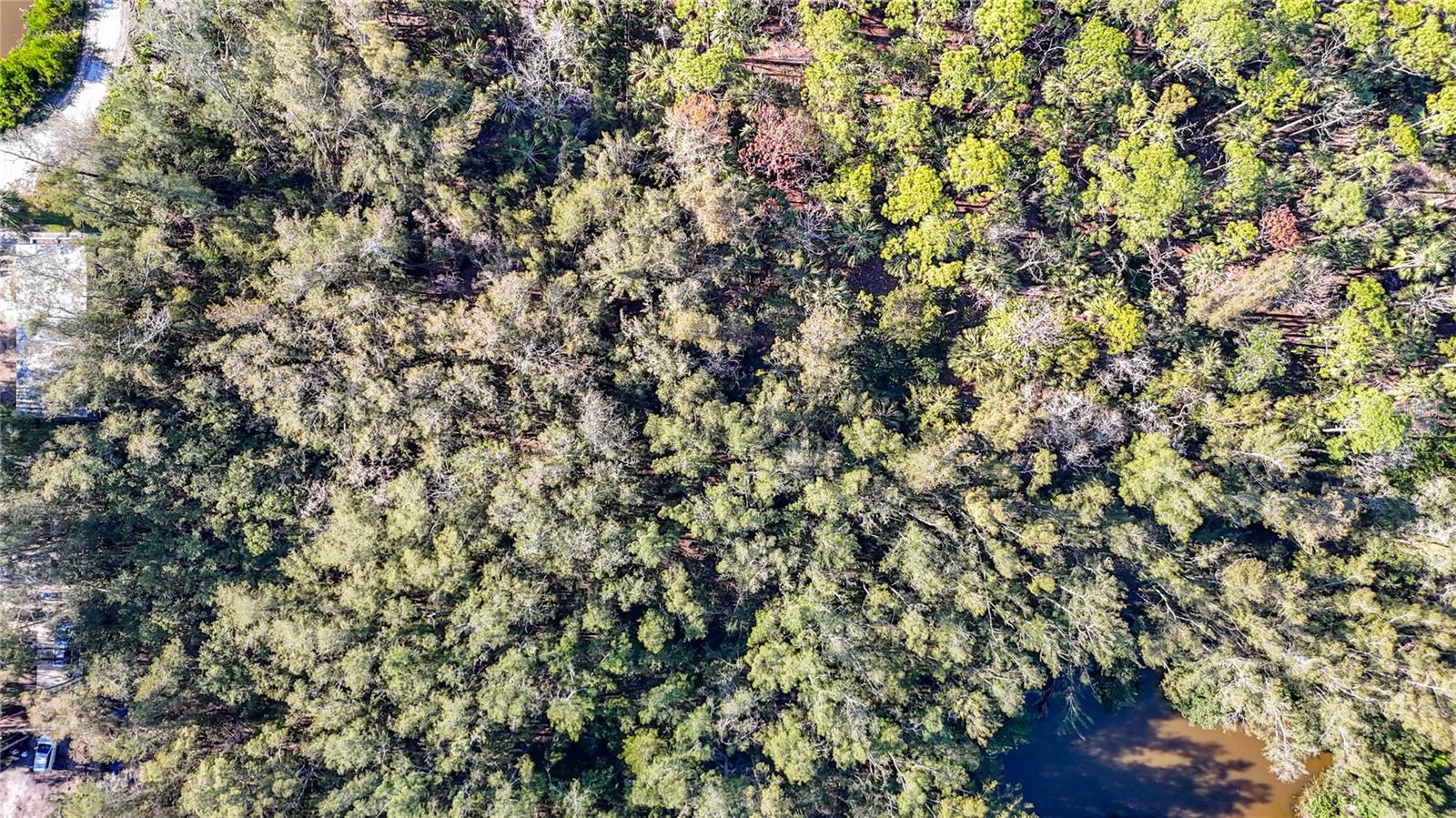 PORT RICHEY LAND CO SUB - Land