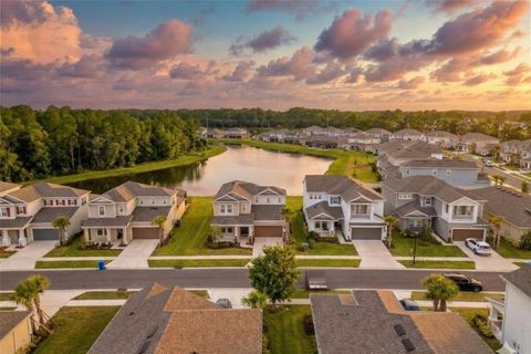 33555 MAINSTAY LANE WESLEY CHAPEL FL 33543