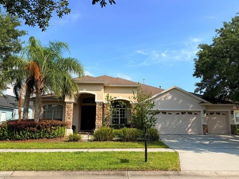 20658 LONGLEAF PINE AVENUE TAMPA FL 33647