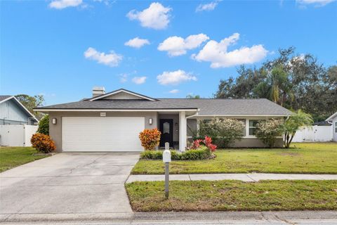 2420 OSPREY AVENUE PALM HARBOR FL 34683