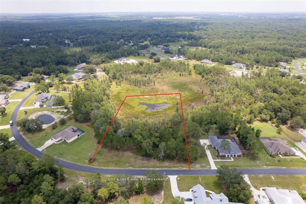 Photo of 8316 SPRING FOREST LANE, WESLEY CHAPEL, FL 33544 (MLS # T3451960)