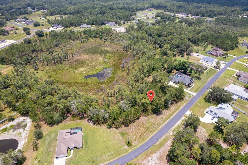 Photo of 8316 SPRING FOREST LANE, WESLEY CHAPEL, FL 33544 (MLS # T3451960)