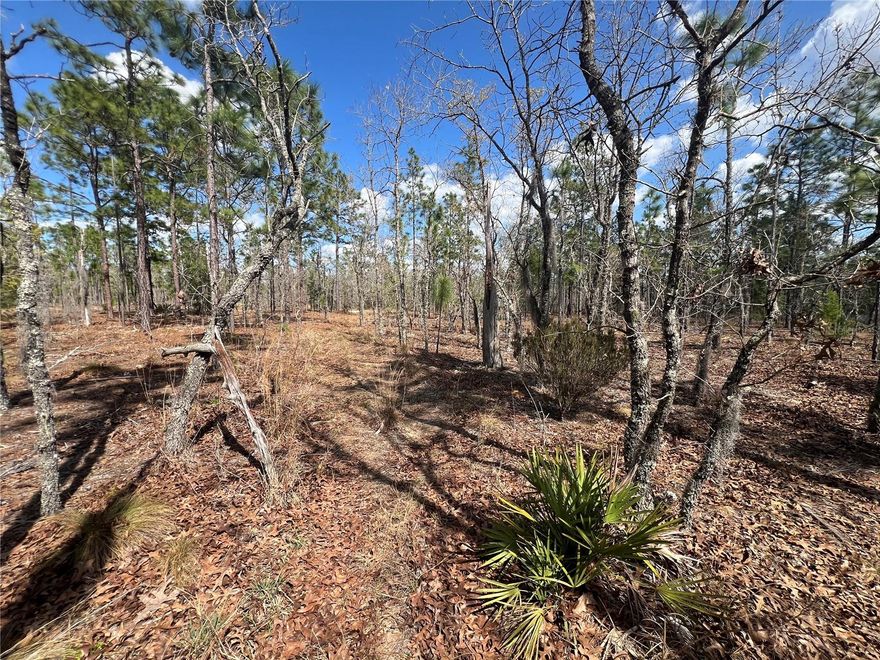 Beautiful 5.02-acre AG-zoned lot available to build your dream home and create your own private oasis. An additional 5-acre contiguous lot is also available for purchase separately, giving buyers the opportunity to own over 10 acres for even more space, privacy, and flexibility. Located in Cue Lake Hills, this high and dry property with NO HOA offers plenty of room for a custom home or manufactured home along with a garage, pole barn, workshop, or other storage. Bring your animals and enjoy country living with space for horseback riding, camping, and watching local wildlife right in your backyard. This peaceful and secluded setting is just minutes from historic Melrose, Florida, a charming one-stoplight town with quaint shops, a farmers market, museums, live music, banks, and restaurants. The property is also a convenient commute to Gainesville, Ocala, Palatka, and St. Augustine, and is close to Lake Santa Fe, the area’s largest and most prestigious lake, known for fishing, swimming, boating, and water skiing. Enjoy quiet country living surrounded by nature and clean air while still being close to nearby towns and amenities. Drive-bys welcome—schedule your tour today!