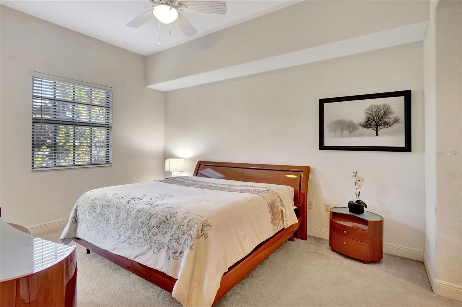 PALMETTO COVE PH 1 - Residential
