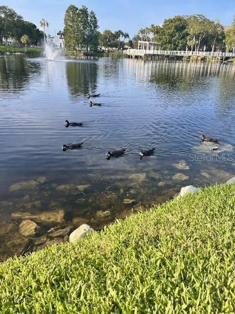 A home in NEW PORT RICHEY