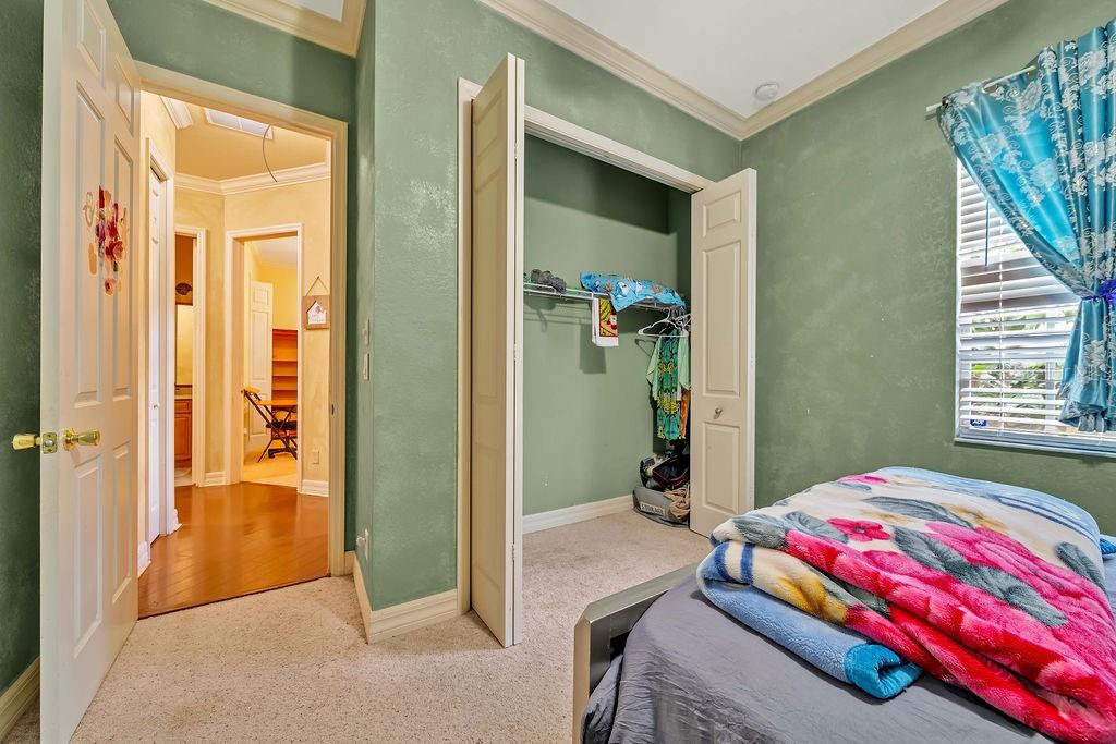 COPPERHEAD PH 01 - Residential