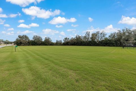 Tiny photo for 2404 SE 79th Street, Ocala, FL 34480 (MLS # OM719404)
