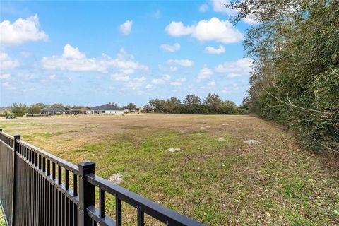 Tiny photo for 2404 SE 79th Street, Ocala, FL 34480 (MLS # OM719404)