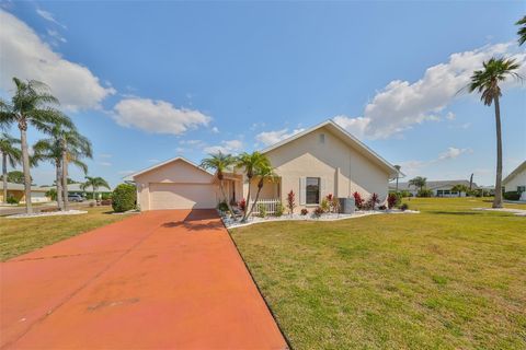 A home in SUN CITY CENTER